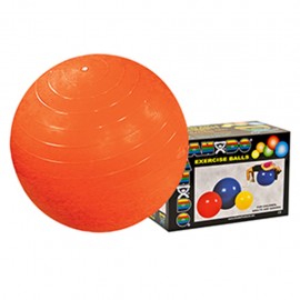 PELOTA CANDO STANDARD COLOR ANARANJADO 55 CM - Envío Gratuito