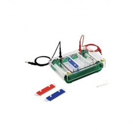 Cámara de electroforesis horizontal. Modelo CS-SPAT - Envío Gratuito