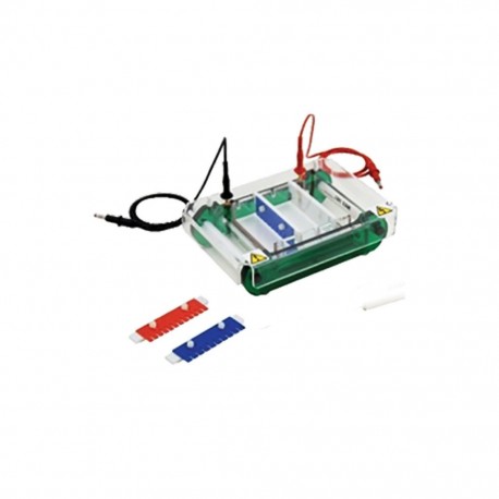 Cámara de electroforesis horizontal. Modelo CS-SPCT - Envío Gratuito